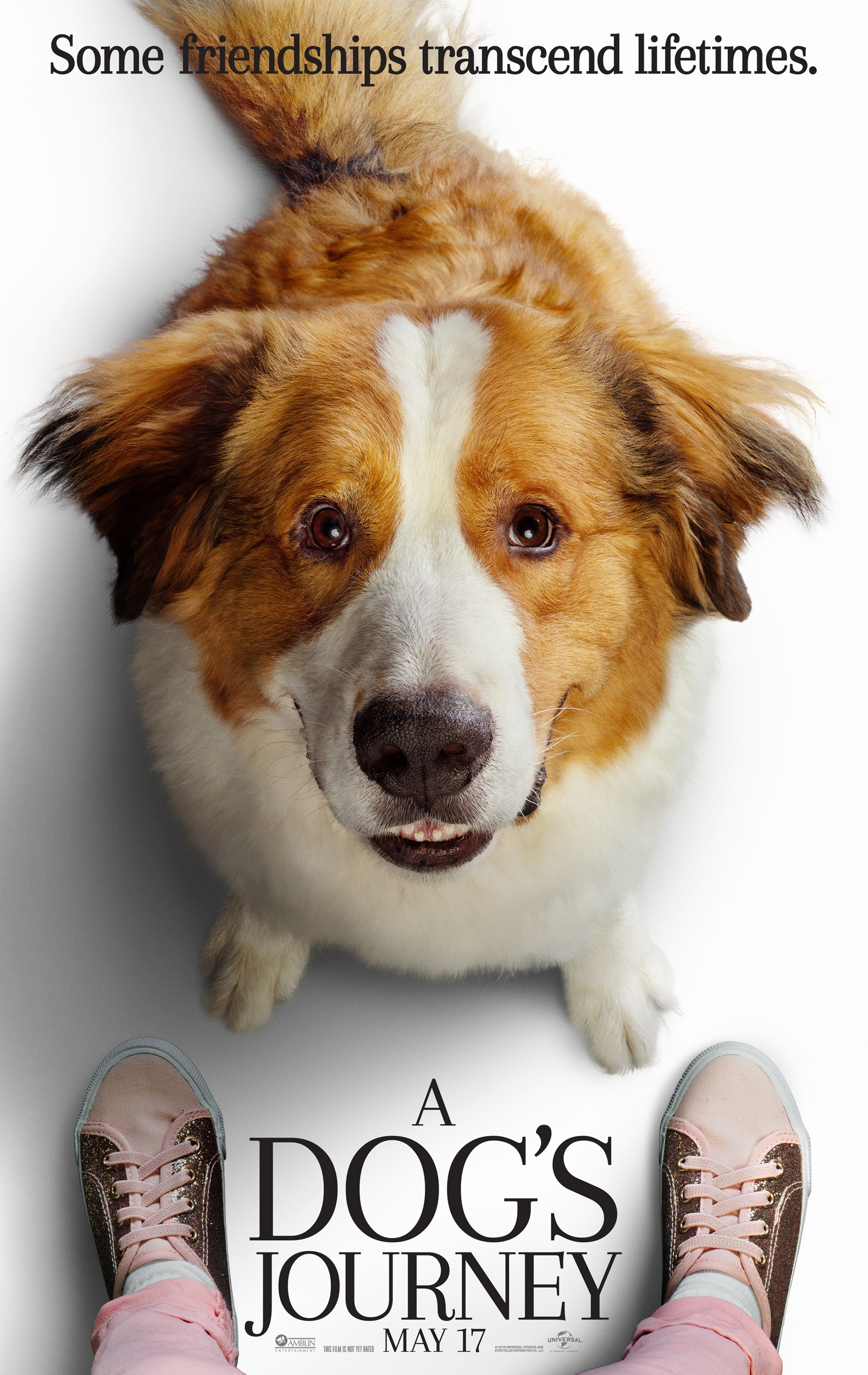 a-dogs-journey-movie-poster
